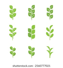 Set of green fresh leaves vector green health botany herb plant symbol