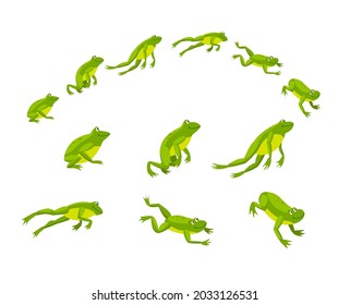 일련의 녹색 개구리.만화 벡터 일러스트레이션.하얀 배경 위에 뛰는 두꺼비.재미있는 물 동물들.디자인을 위한 자연, 움직임, 원형, 파충류, 동 개념