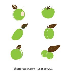 Set green fruit Vector Illustration