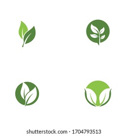 Establecer la naturaleza del símbolo vectorial de la plantilla de la hoja verde verde