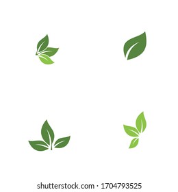 Establecer la naturaleza del símbolo vectorial de la plantilla de la hoja verde verde