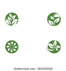 Establecer la naturaleza del símbolo del vector de la plantilla de la hoja verde verde