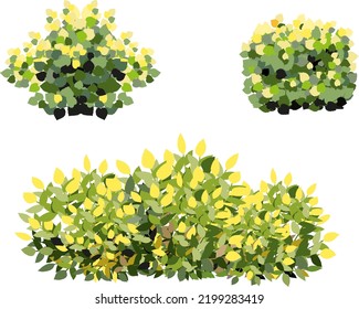  Set of green garden vegetation trees icons. Ornamental plant shrub to decorate park, landscape, garden  or a green fence. Thick thickets of shrubs. Foliage for spring and summer card design.

