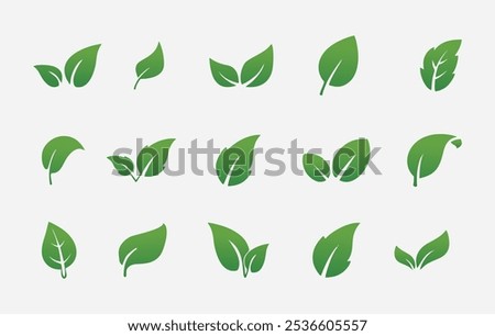 Set green gradient leaves icon vector isolated on white background. Various shapes of green gradient leaves of trees and plants.Eps 10