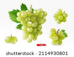 Set of green grape isolated on white. Realistic vector illustration of yellow grape.