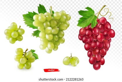 Set of green grape and pink grape isolated on white. Realistic vector illustration of different grapes.