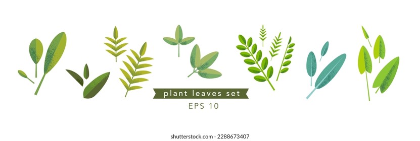 Set with green graphic elements. Various herbs and leaves.