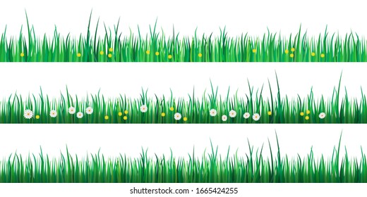 Set Of Green Grass Borders Isolated On White Background. Vector Illustration For Spring Or Summer Design. Decoration For Easter Greeting Card Or Banner