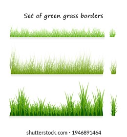 Set of green grass borders, isolated on white background. Vector fresh spring grass in different shades of green lengths and densities. The collection of natural elements templates