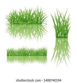 a set of green grass bunches with reflection. isolated on white background