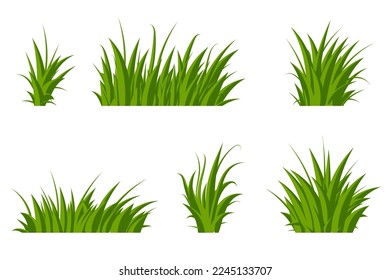 Set of green grass. Grass bushes of different shapes. Hand drawn grass. Green grass. Vector illustration