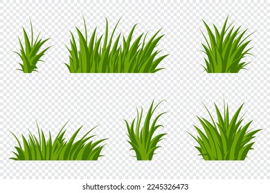 Set of green grass. Grass bushes of different shapes. Hand drawn grass. Green grass. Vector illustration