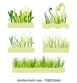 A set of  green grass in different styles, isolated vector on white background