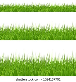 Set of Green Grass Elements on White Background