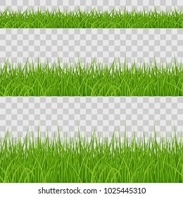 Set of Green Grass Elements on Transparent Background