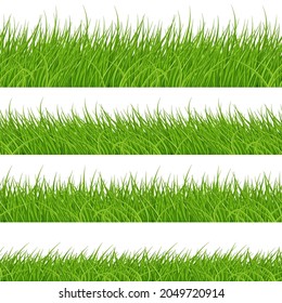 Set of Green Grass Elements on White Background. Natural Border for Decoration in Your Works