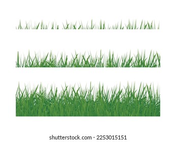 Coloca La Grasa Verde Aislada En Fondo Blanco. Vector