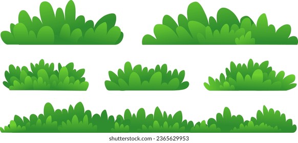 Set of Green Grass Isolated on White Background