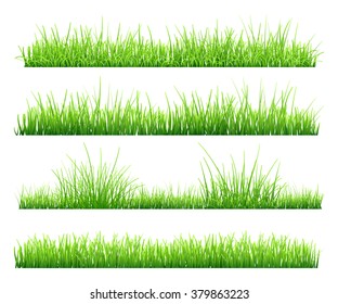 Set of green grass, isolated on white background. Vector illustration