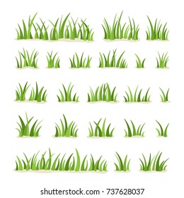 Set of green grass isolated on white background. Vector illustration.