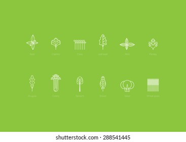 Set of green grass lines icon vector illustration. 