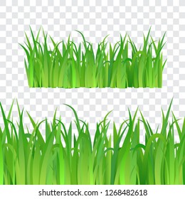 Set of green grass on transparent background, vector illustration.