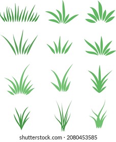 Set of green grass on a white background. Vector illutration