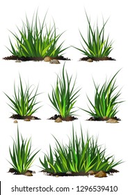 Set of  green grass with pieces of black soil and stones on white background. Grass bushes of different shapes. Vector illustration.