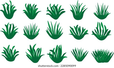 Set of green grass and seaweed vector isolate on white background for decorating art design, wallpaper.The idea for making football field,golf lawn,yard