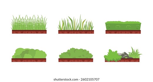 Set of green grass. Soil ground or underground layers, grass and land . Nature vector illustration, land ecosystem grass. vector 
