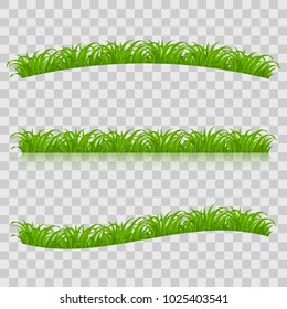 Set of Green Grass for Spring or Nature Design. Illustration on Transparent Background