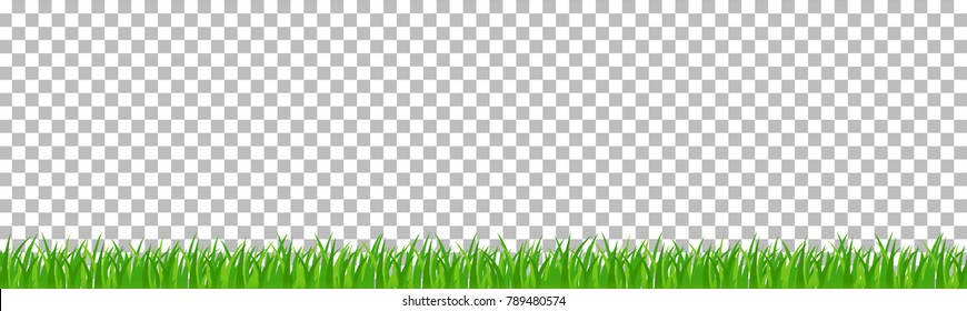 set of green grass that is longitudinal to use as a design element isolated from a transparent background. Vector illustrations