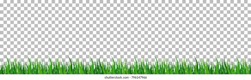 set of green grass that is longitudinal to use as a design element isolated from a transparent background. Vector illustrations