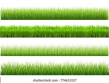 A set of green grass varieties. There are 4 styles to choose from. For vector illustrations