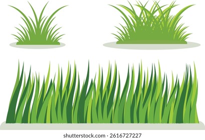 Set of green grass vector illustration