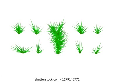 Set of Green grass. Green Grass White Background. Vector illustration