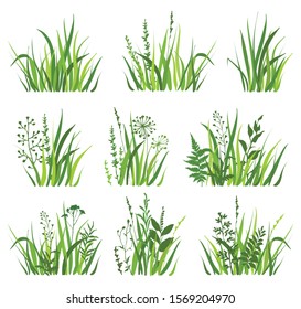 Set of  green grass with wild herbs on white background. Grass bushes of different shapes. Vector illustration.