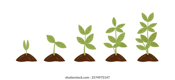 Set of green growing seedlings in the soil isolated on white. Vector flat cliparts. Spring, gardening, new life, business, save the planet concept.