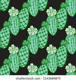 Set green hand drawn cactus with flowers. Seamless pattern. Vector illustration isolated on dark background