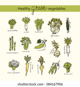 set of green healthy vegetables - freehand drawing