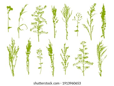 Set of green herbal silhouettes - wild herbs isolated on white - green grass for spring and summer natural design