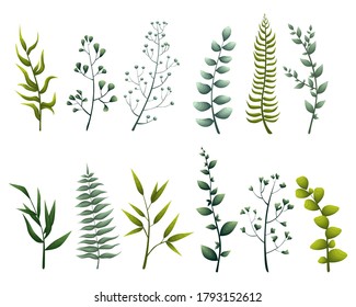 Set of green herbs for decorating cards. Tropical leaves, leafy plants for wedding invitations. Decorative illustration for design. Vector illustration