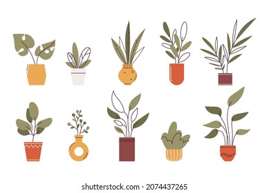 Set of green  home plants in trendy boho vase and flower pot. Modern flat and outline style. Isolated on white background