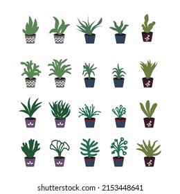 Set Of Green House Plant