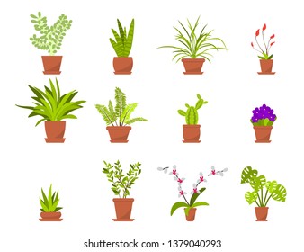 Set of green house plants in pots. Flat style vector illustration