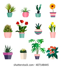 Set of green house plants in pots. Leaf and flowers icon. Flowerpot isolated objects, houseplant flower pot collection. Vector illustration