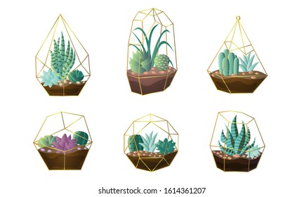 Set of green houseplants in pots vector illustration