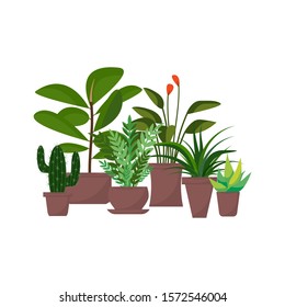 Set of green indoor flat style houseplants and flowers in pots vector icons on white background.