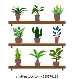 Conjunto de plantas verdes interiores de estilo plano y flores en macetas en los iconos vectoriales del estante sobre fondo blanco. 