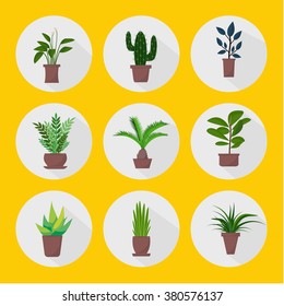 Set of green indoor flat style houseplants and flowers in pots vector icons. 